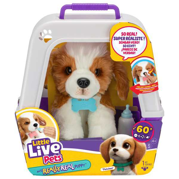 Live pets