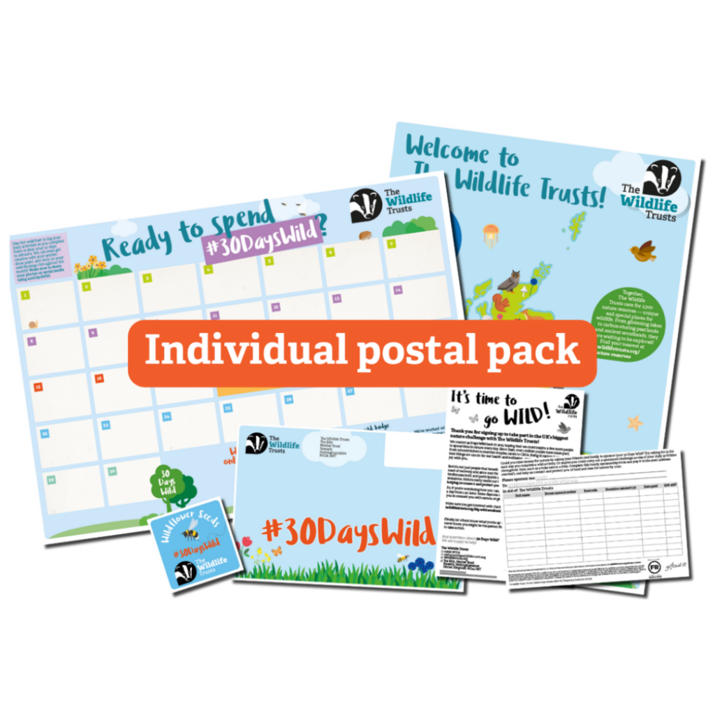 Free Herb Seeds & Children’s Activity Pack