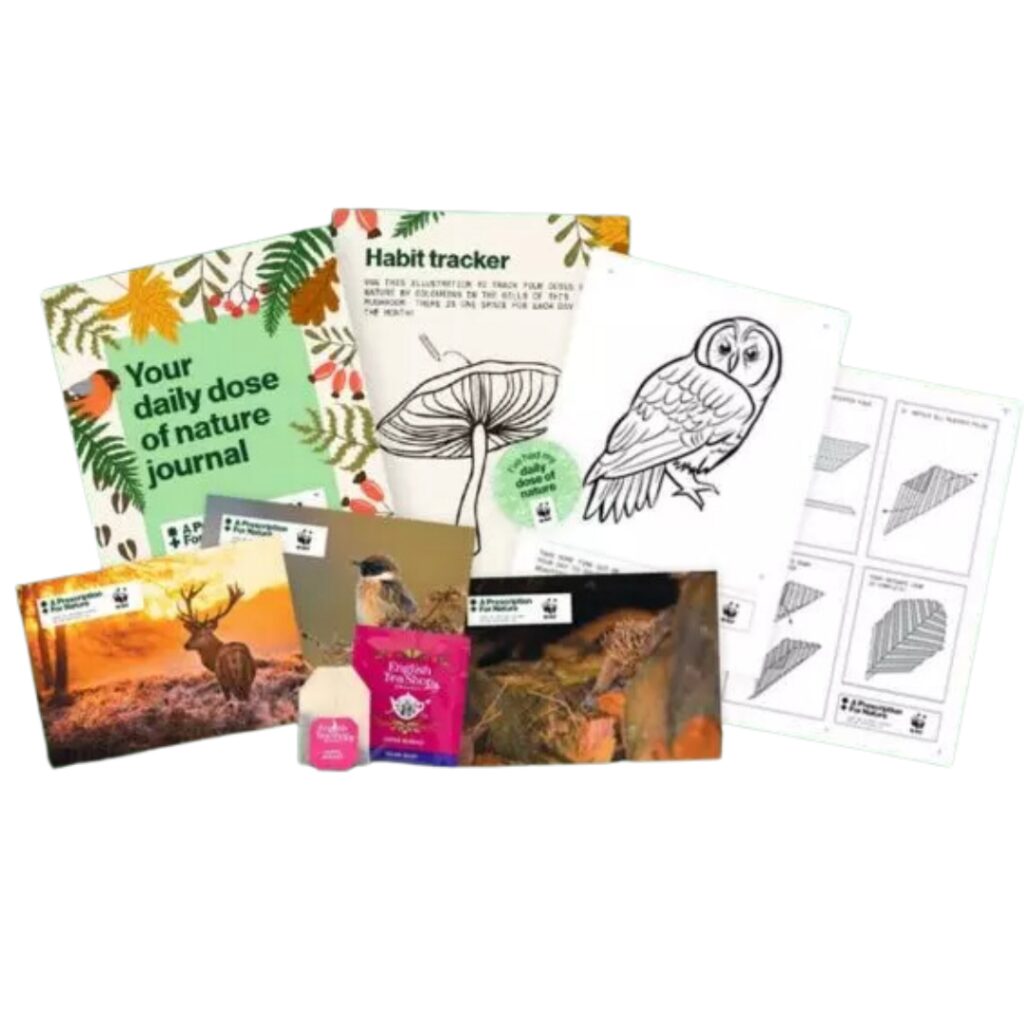 Free Tea Bags & Nature Activity Pack